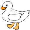 How to draw a Cartoon Duck