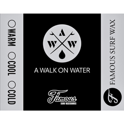 A Walk On Water Charity for Giving Children a Day of Surfing and Fun