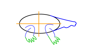 How to draw an Alligator Step Two