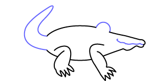 How to draw an Alligator Step Three
