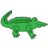How to draw a cartoon Alligator