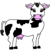 How to draw a cartoon cow