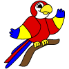 How to draw a Cartoon Parrot