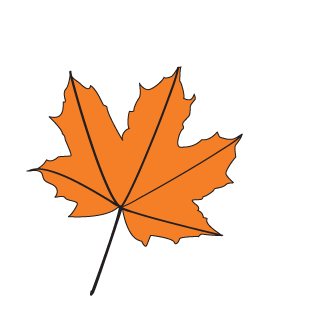 How to draw a Fall Leaf Step 3