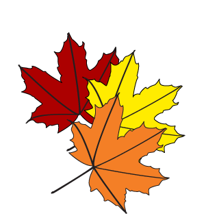 How to draw a Fall Leaf step 4