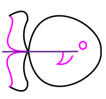 How to draw a cartoon fish step 3