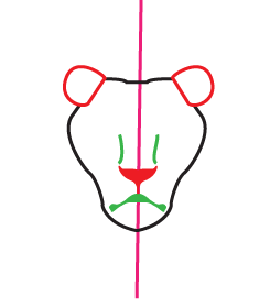 How to draw a Lion Portrait Step 2