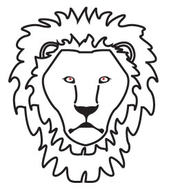 How to draw a Lion Portrait step 5
