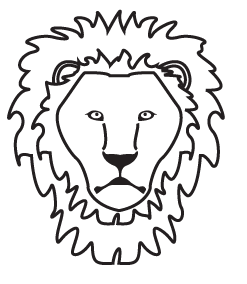How to draw a Lion Portrait step 6