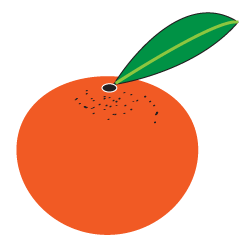 Webby Wanda's How to draw an Orange step 4
