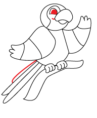 How to draw a cartoon Parrot step 5