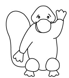 How to draw a cartoon Platypus step 6