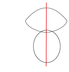 How to draw a cartoon Racoon step 1