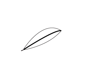 How to draw a Spring leaf step 3