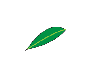 How to draw a leaf step 4