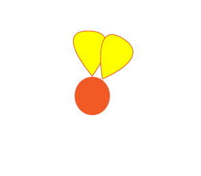 How to draw a flower step 3