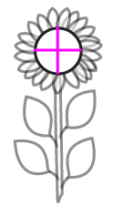 How to draw a sunflower step one