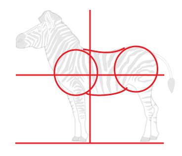 How to draw a cartoon Zebra step 2