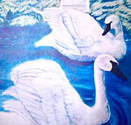Swans Illustration by Wanda Niesterowicz
